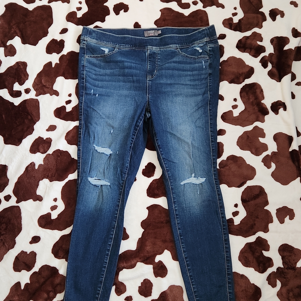 Stylish Blue Women's Jeans Torrid Size 2R